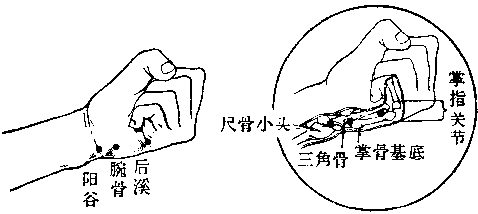 一个能降高血压的神奇穴位